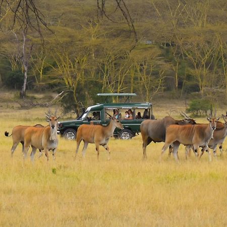 Lake Elmenteita Serena Camp Экстерьер фото