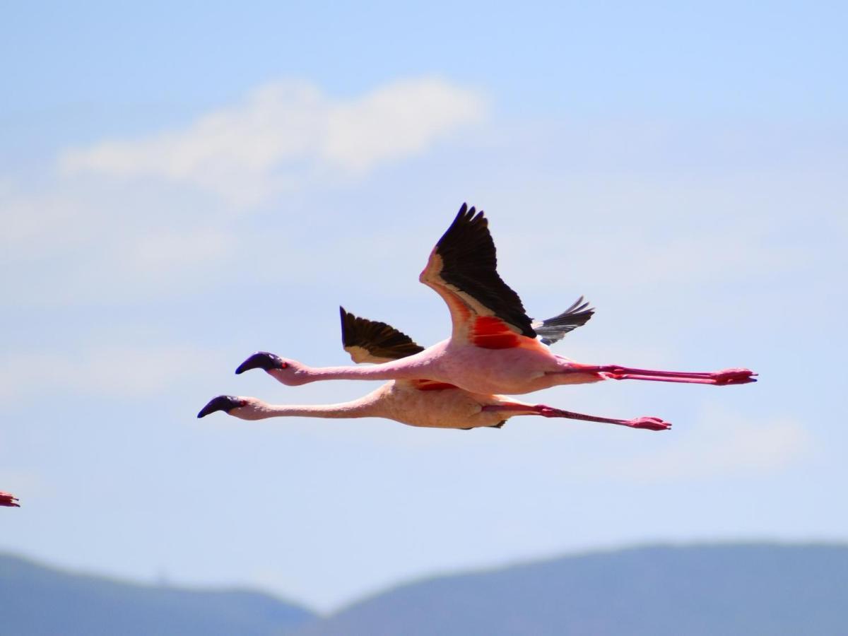 Lake Elmenteita Serena Camp Экстерьер фото