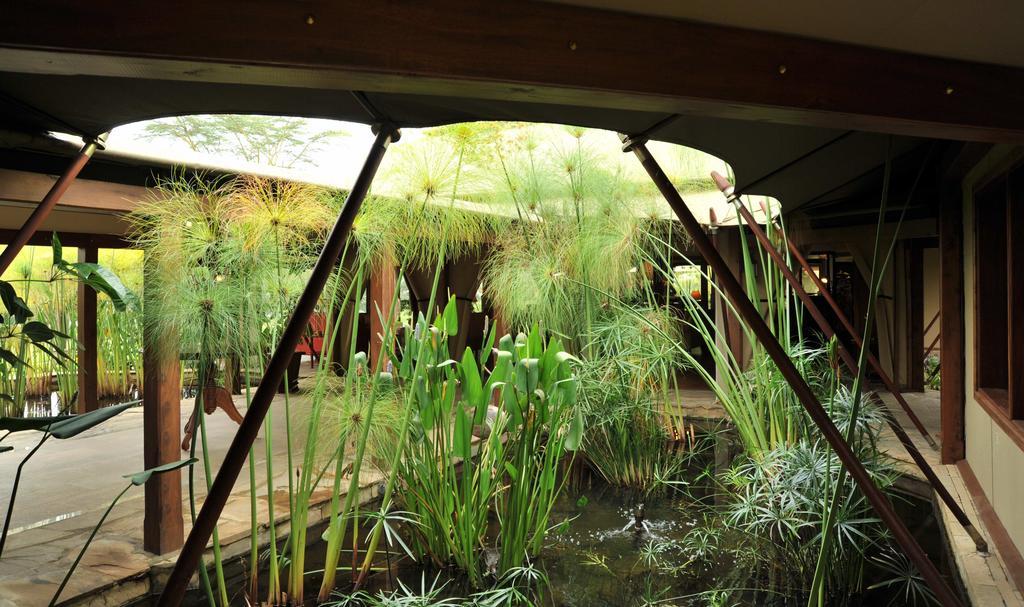 Lake Elmenteita Serena Camp Экстерьер фото